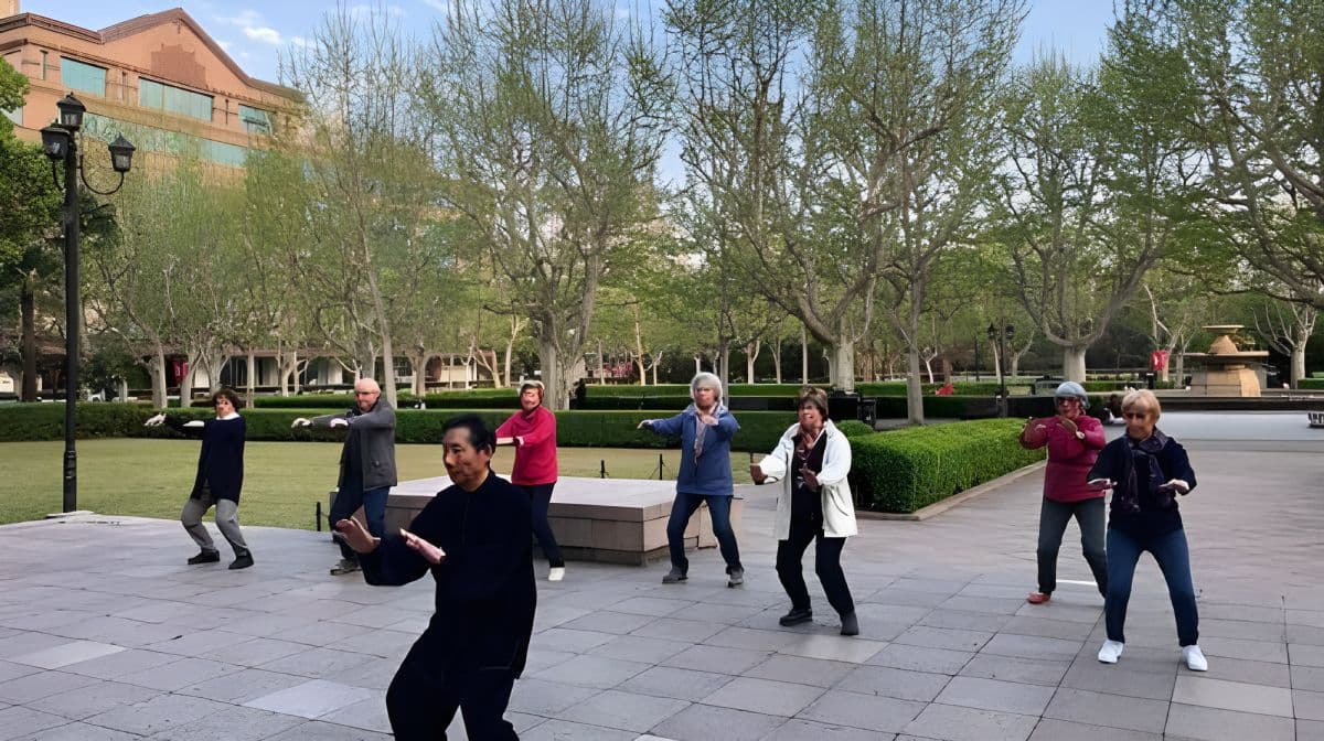 Full-Day Old Shanghai City Lifestyle and Culture Private Tour with Lunch