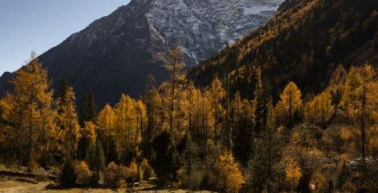 Huanglong scenic area admission ticket + uphill ride cable car in Aba, Sichuan