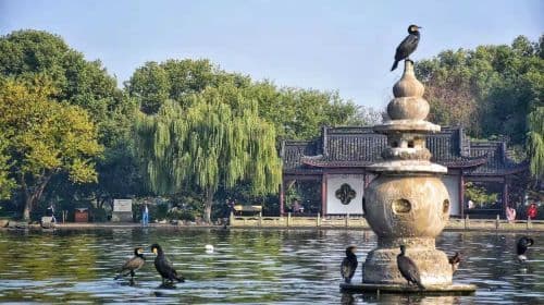 English guide service for Hangzhou attractions including West Lake, Leifeng Tower, and Lingyin Temple. 1-on-1 private tour (no join-in groups). Day Tours