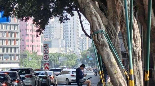 Foodie Tour & City Ride