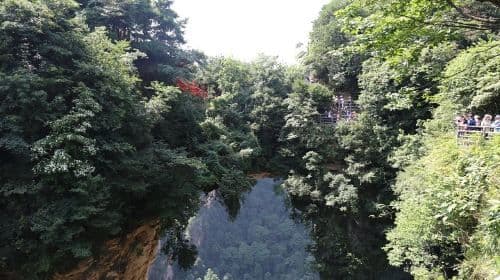 Glass Bridge,Yuanjiajie Avatar Mountain&Tianzi Mountain day tour