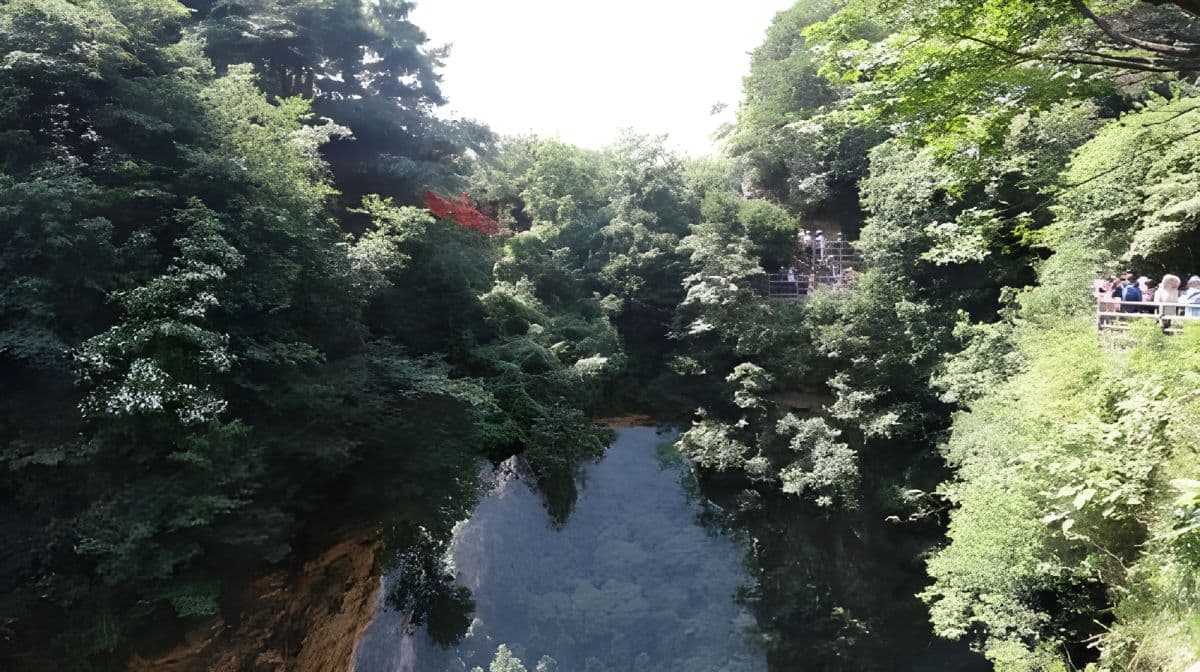 Glass Bridge, Yuanjiajie Avatar Mountain & Tianzi Mountain 日帰りツアー