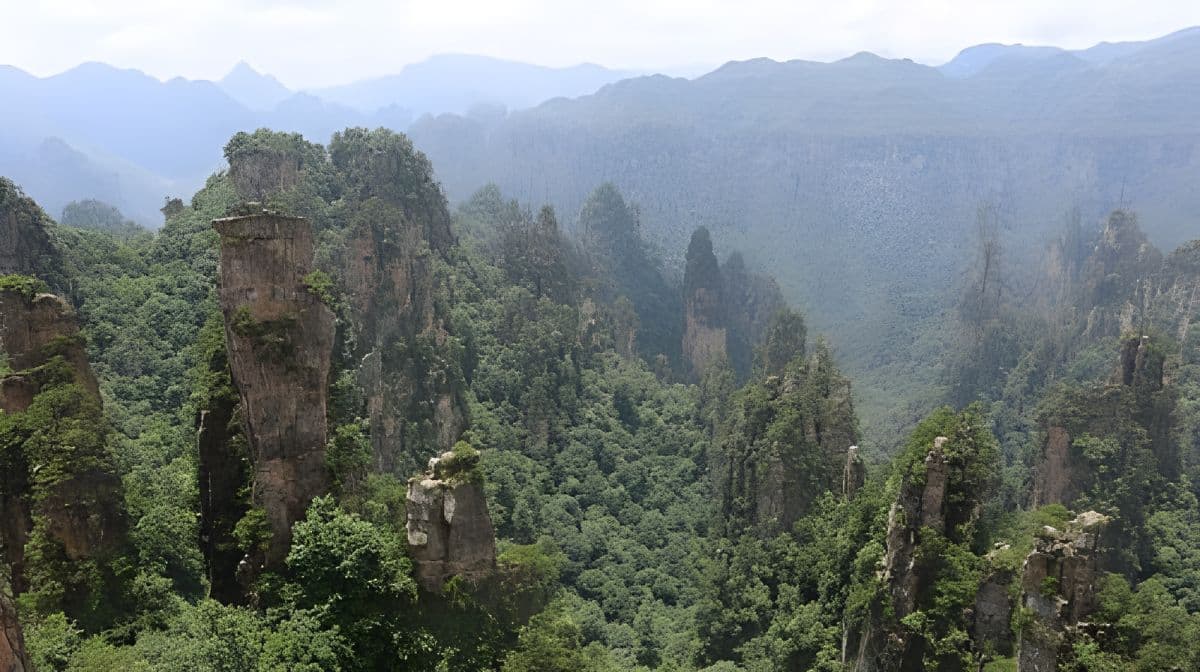 Glass Bridge, Yuanjiajie Avatar Mountain & Tianzi Mountain 日帰りツアー