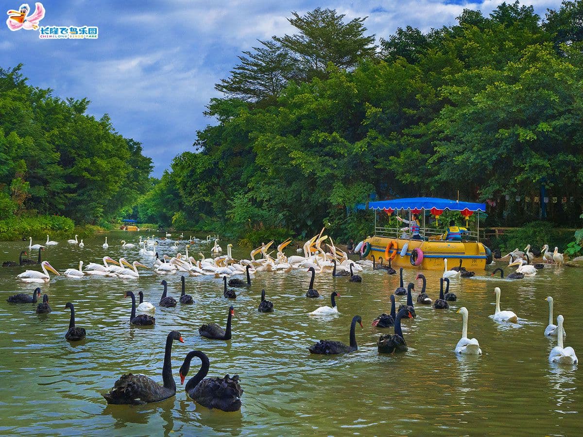 Guangzhou Chimelong Tourist Resort