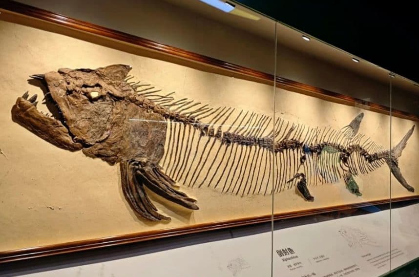 Guangzhou: Grandview Museum of Nature Science Ticket