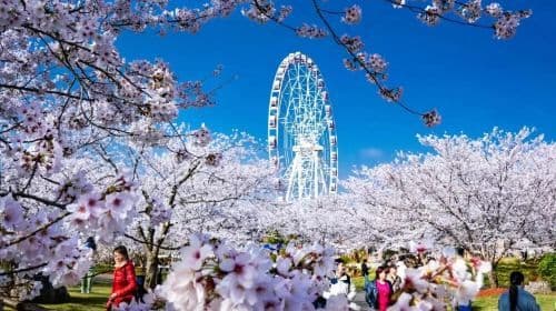 Gucun Park Dinosaur World