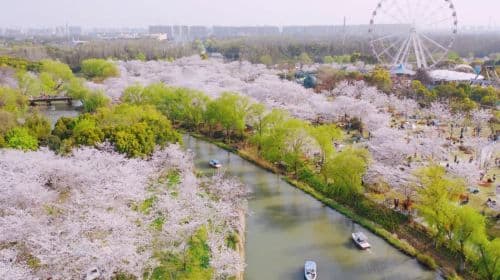 Gucun Park Dinosaur World