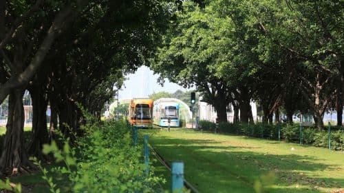 Haizhu Tram Line 1 Ticket (Unlimited Rides On The Day)