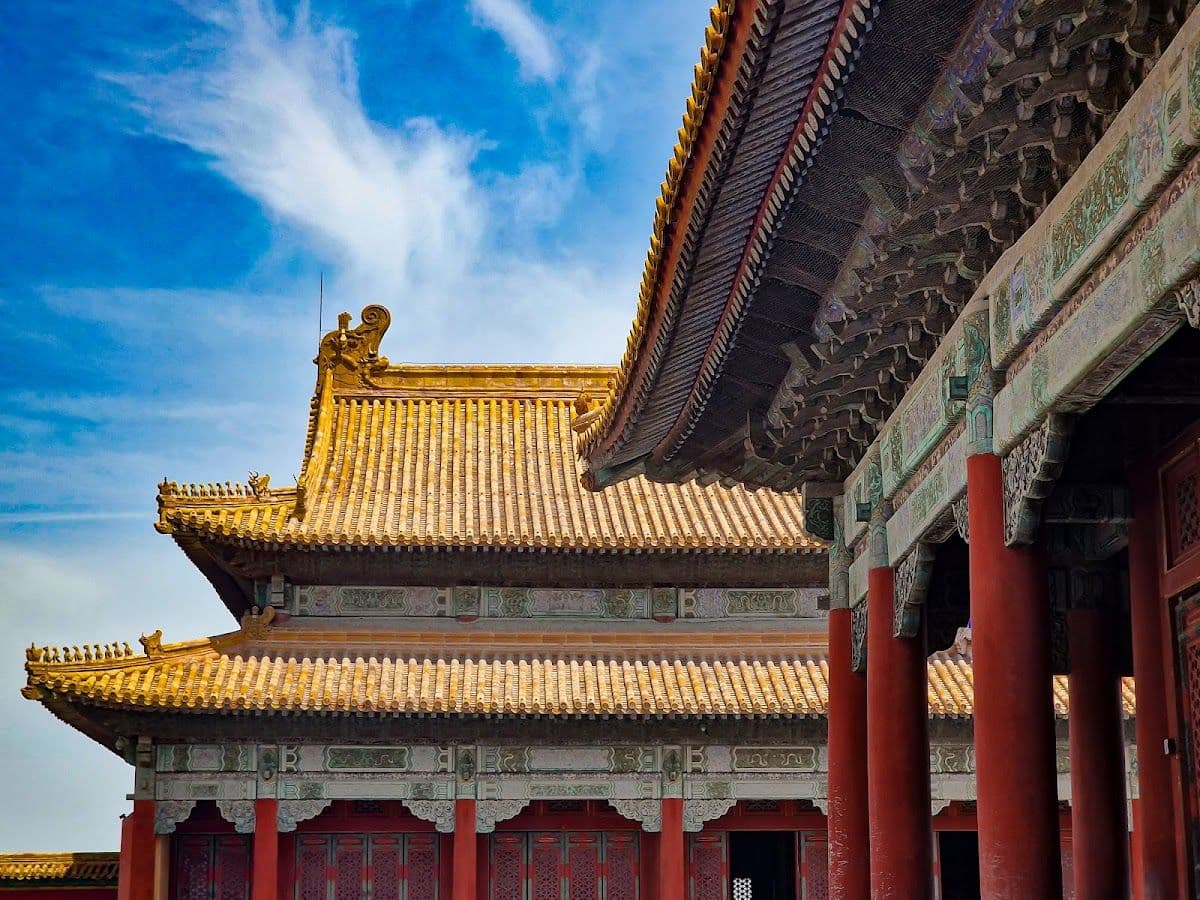 Half-Day Tour of the Beijing Palace Museum (Morning/Afternoon Session) | English Guided Tour | No Shopping & No Hidden Costs