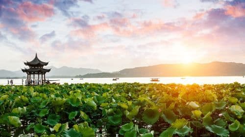 Hangzhou Day Tour From Shanghai | Paradise On Earth-West Lake &+Lingyin Temple+High Speed  Day Tours