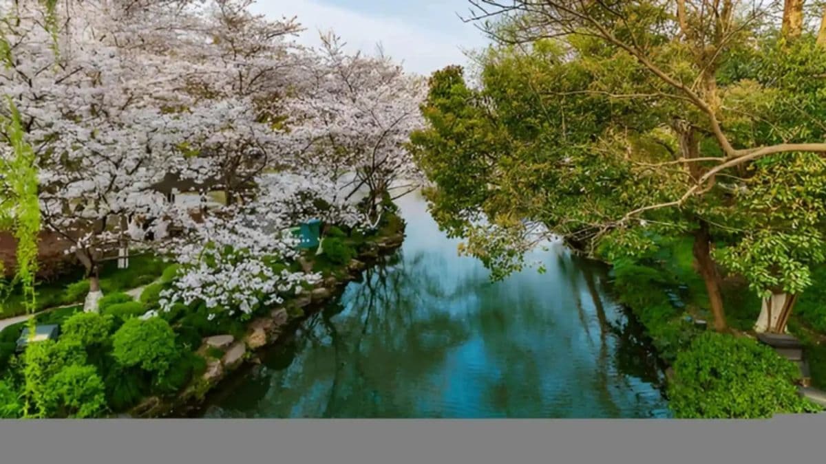 Hangzhou Private Tour: West Lake + Moganshan National Park