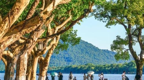 Hangzhou West Lake Scenic Area Rowing Boat (40 minutes) + guide Guide + Leifeng Pagoda admission ticket Half Day Day Tours