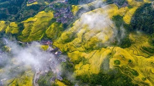 One Day Private Longji Rice Terraces with Minority village tour
