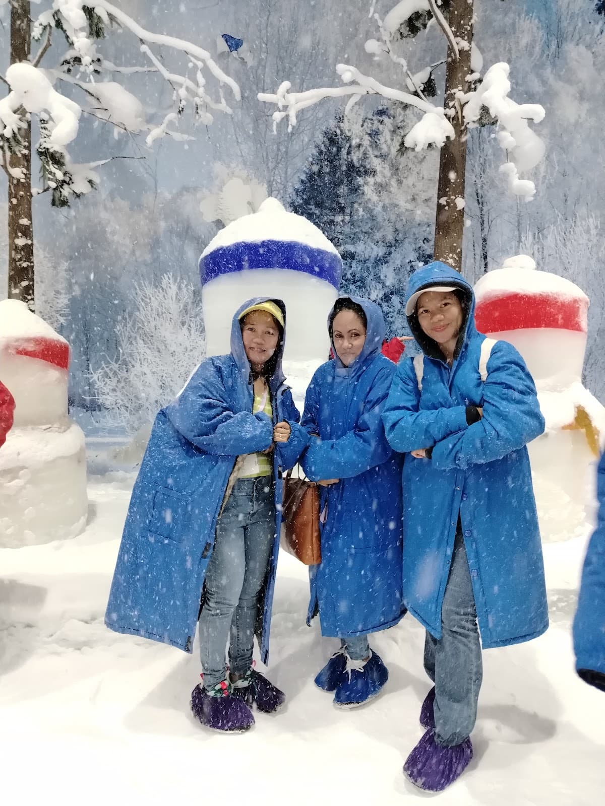 Karoo Ice and Snow World