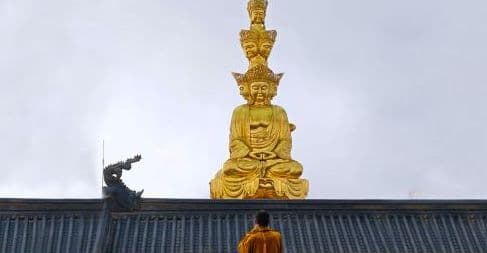 Leshan Giant Buddha + Mount Emei One-Day Tour [Guaranteed Tickets + Optional Small Group Tours & First-Class Flights + Truly Pure Travel]