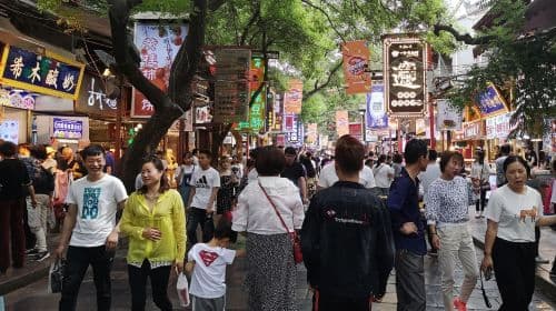 Mini Group Xian Day Tour to Terracotta Army, City Wall, Pagoda and Muslim Quarter Day Tours