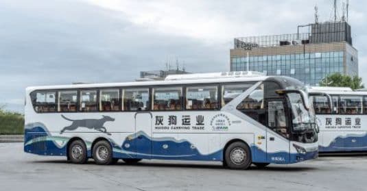 Mount Siguniang Chengdu - Mount Siguniang round-trip shuttle bus Individual