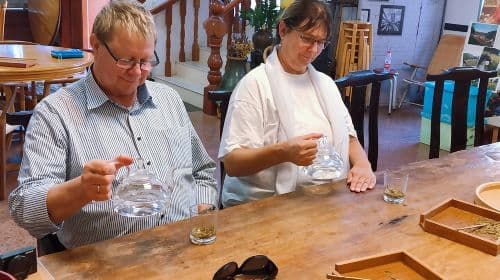 One-Day Hangzhou Dragon Well Tea Culture & West Lake Private Tour Day Tours