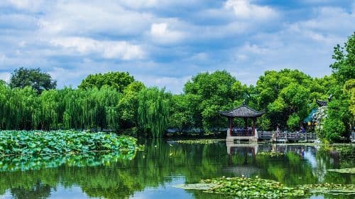 One-Day Hangzhou Dragon Well Tea Culture & West Lake Private Tour Day Tours