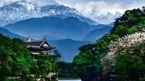 Panda Valley / Dujiangyan / Bipenggou / Sinuniang Scenic Area Private Tour (Customized Itinerary)