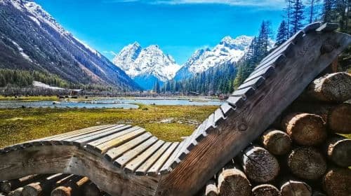 Panda Valley / Dujiangyan / Bipenggou / Sinuniang Scenic Area Private Tour (Customized Itinerary)