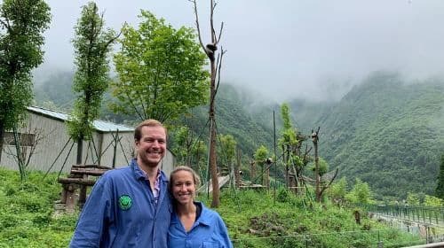 Private Wolong Panda Base and Earthquake Site Day Tour