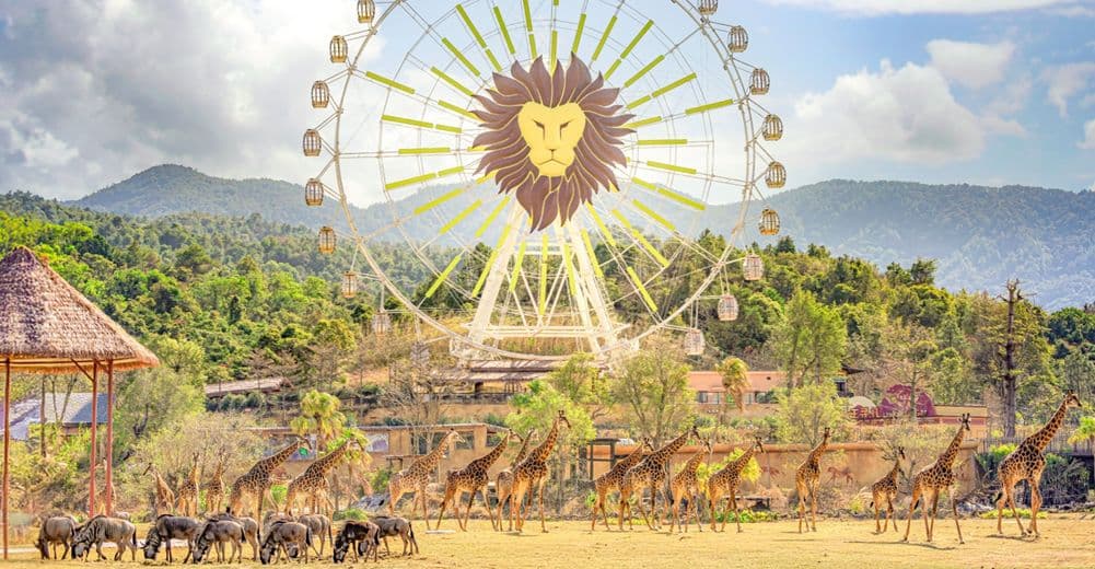 Qingyuan Chimelong Forest Kingdom Admission