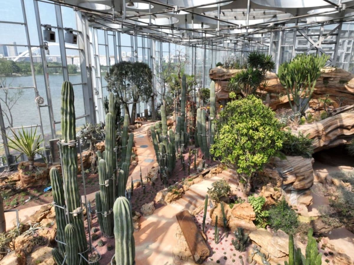 Shanghai Greenhouse Garden Adult Ticket ( Asia's Largest Glass Greenhouse)