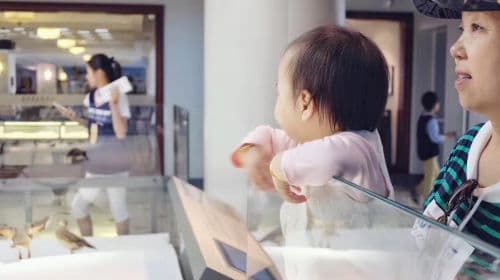 Shanghai Natural History Museum