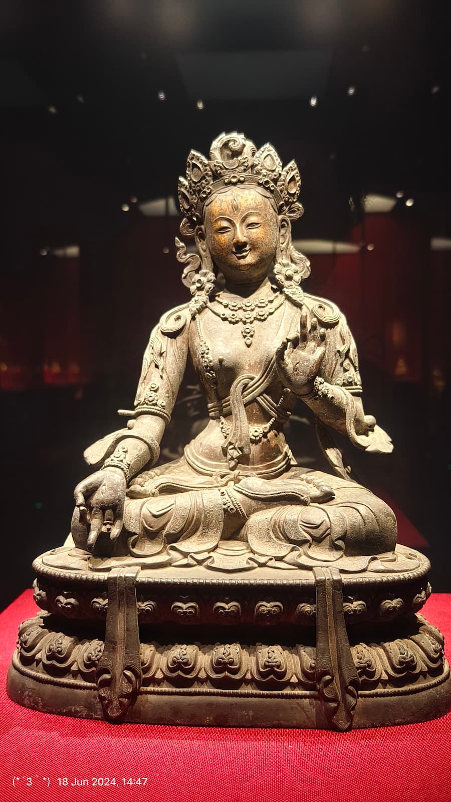 Shenyang: Liaoning Provincial Museum Private Guided Tour