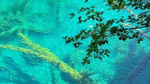 Shuttle bus from Jiuzhaigou National Park to Songpan High-speed Railway Station