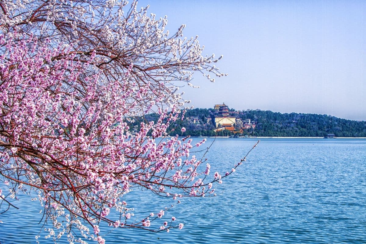 Summer Palace Admission Ticket + 2.5 hours Guided Tour Service