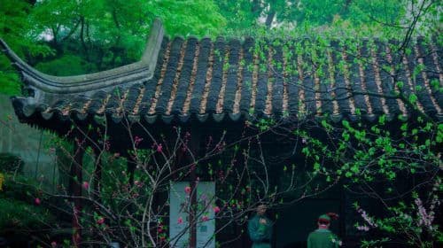 Suzhou City Highlights Day Tour|Humble Administrator's Garden, Tiger Hill, Lion Grove, Hanshan Temple Day Tours