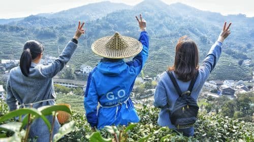 West Lake in Hangzhou|Bilingual guided tour service in Chinese and English, 1-on-1 private tour (no join-in tours), Leifeng Tower, West Lake (leisure travel only) Day Tours