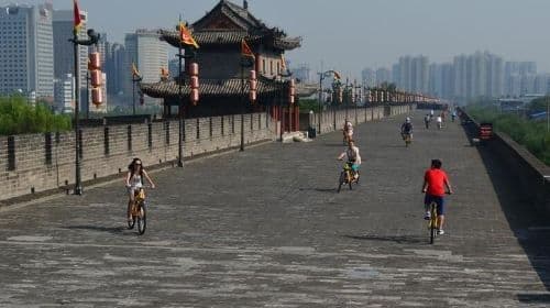 Xi'an Essential Mini Group Day Trip