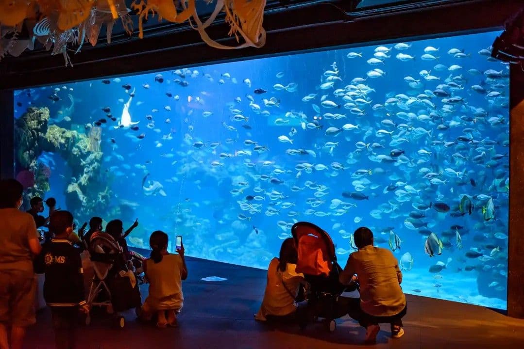 Aquaria Phuket - Residenti thailandesi (inclusi espatriati)