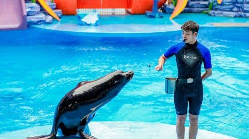 Xiaomeisha Sea World