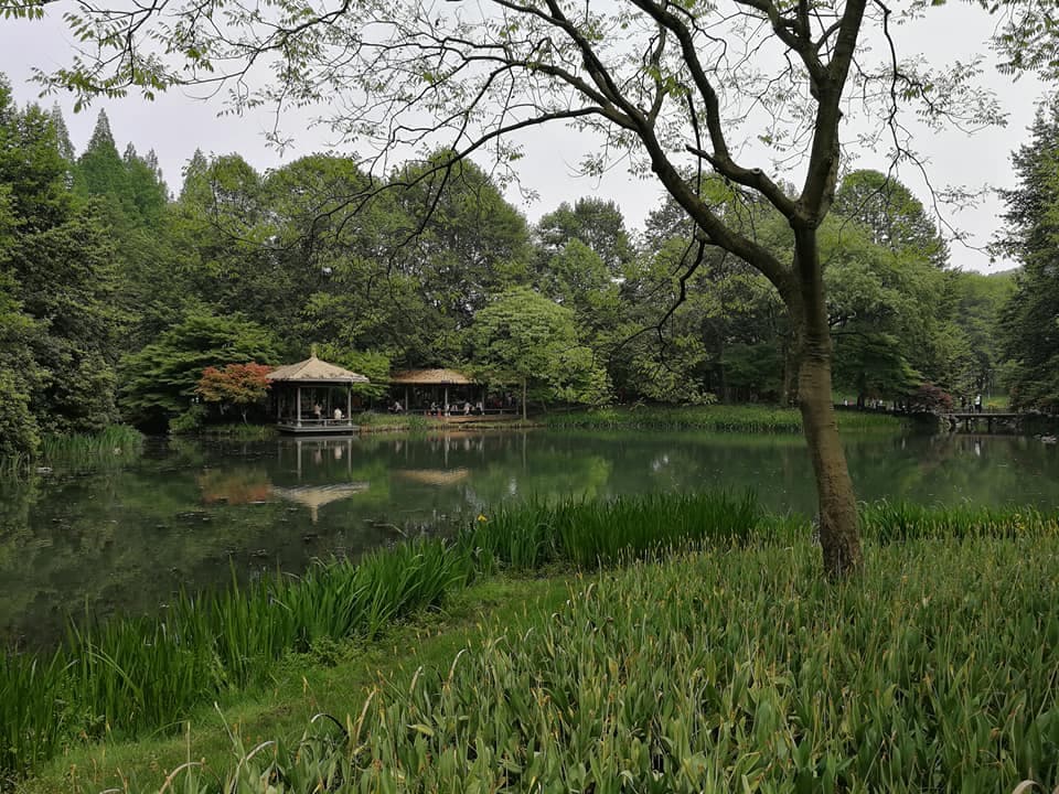 Xixi National Wetland Park Admission + Electric boat ticket
