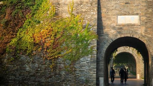 Yangzhou licensed guide(optional attractions include Slender West Lake, Ge Garden, He Garden, Daming Temple, Dongguan Street, Han Guangling King Tomb Museum, and Yangzhou Eight Eccentrics Memorial Hal