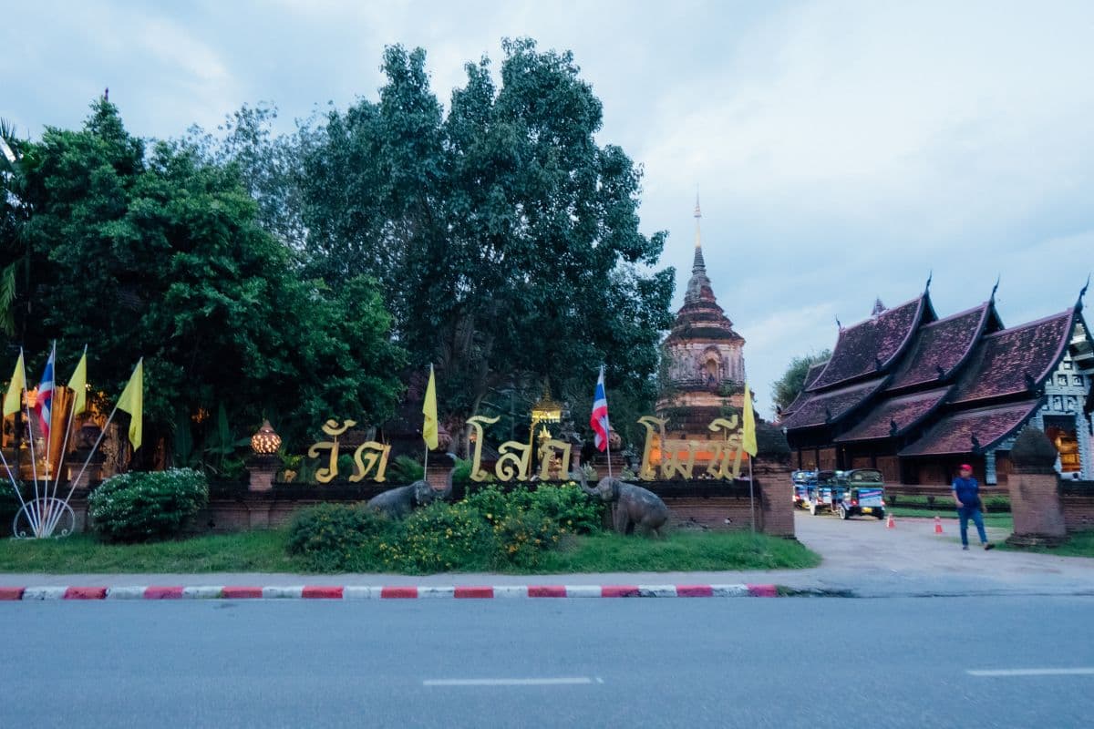 Chiang Mai Night Bike Tour