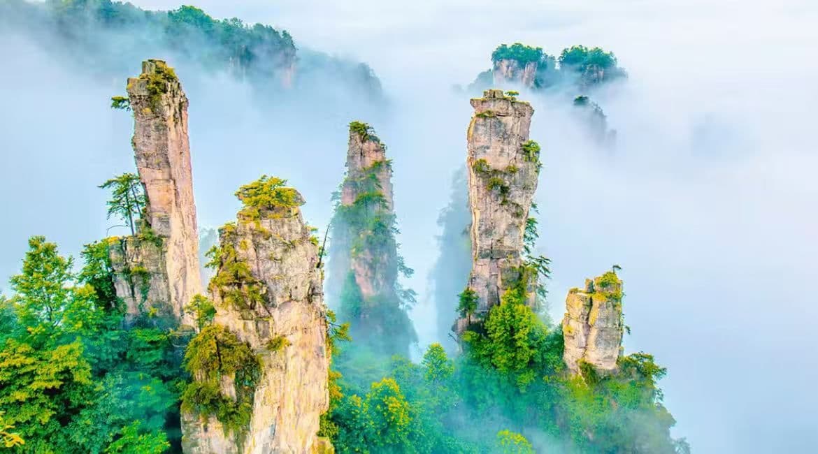 Zhangjiajie National Forest Park Ticket +  Vehicle combo