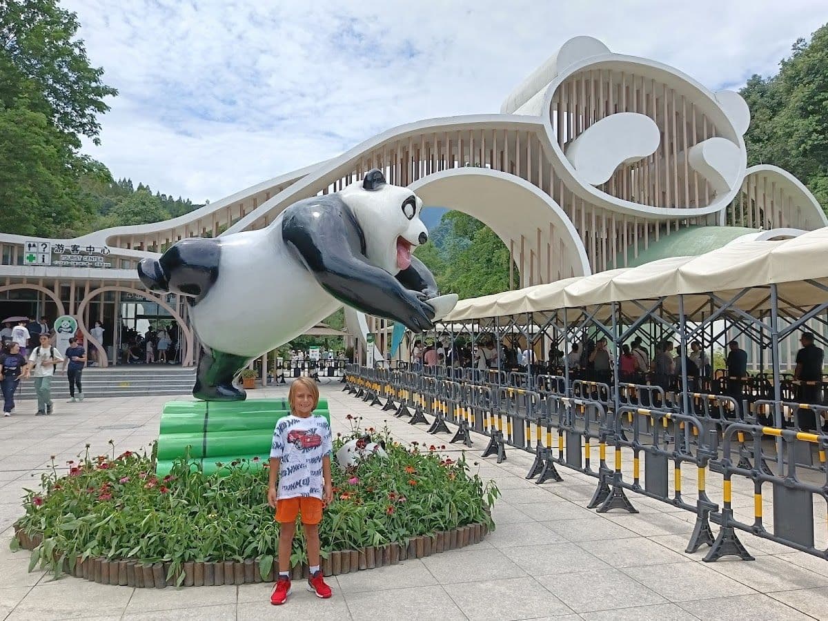 [Dujiangyan Tourism Guide] Follow the guide to get close to Panda Valley Day Tours