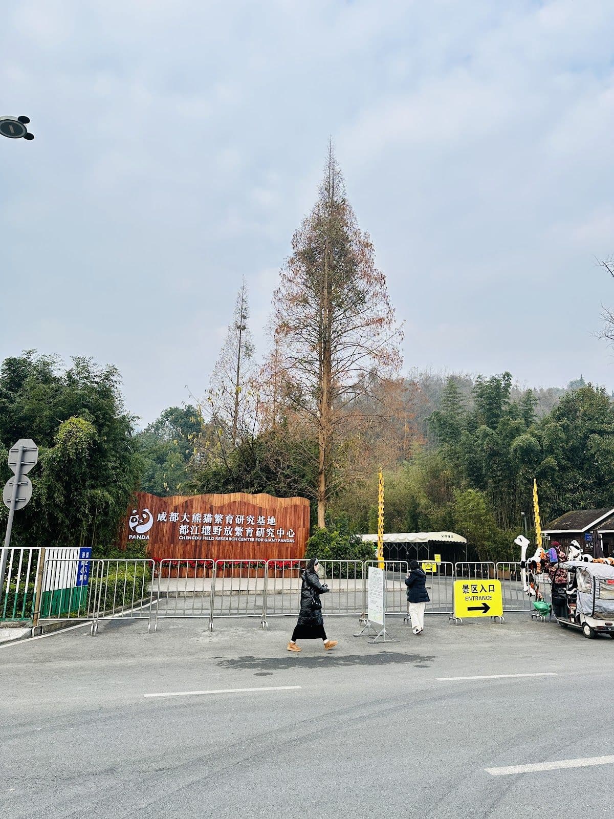 [Dujiangyan Tourism Guide] Follow the guide to get close to Panda Valley Day Tours