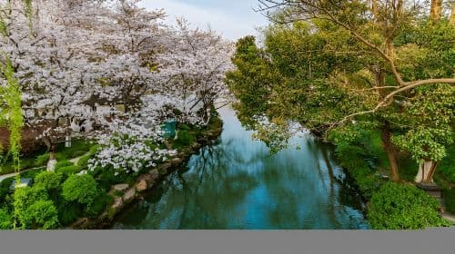 [Hangzhou] Private Car Day Trip to Fuchun Resort Golf Course & West Lake Scenic Area Day Tours