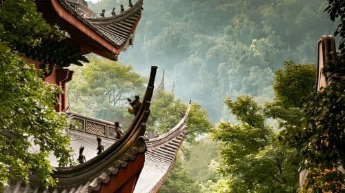 [Hangzhou] Private Full-Day Tour with West Lake Cruise, Lingyin Temple & Longjing Tea  Day Tours