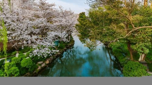 [Hangzhou] Private Tour to Moganshan National Park and West Lake Scenic Belt Day Tours