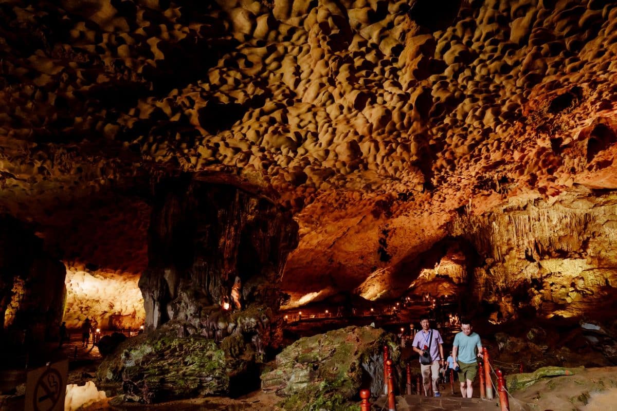 2D1N Ha Long Bay with 5 Stars Cruise