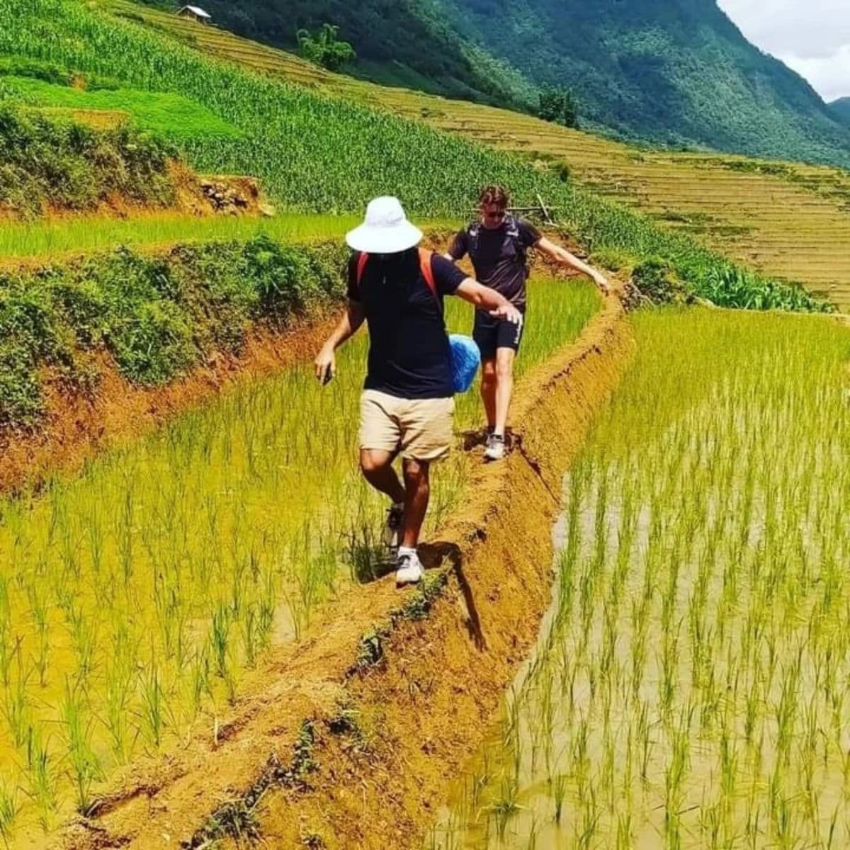 2D1N Sapa Standard Tour Transfers by Limousine