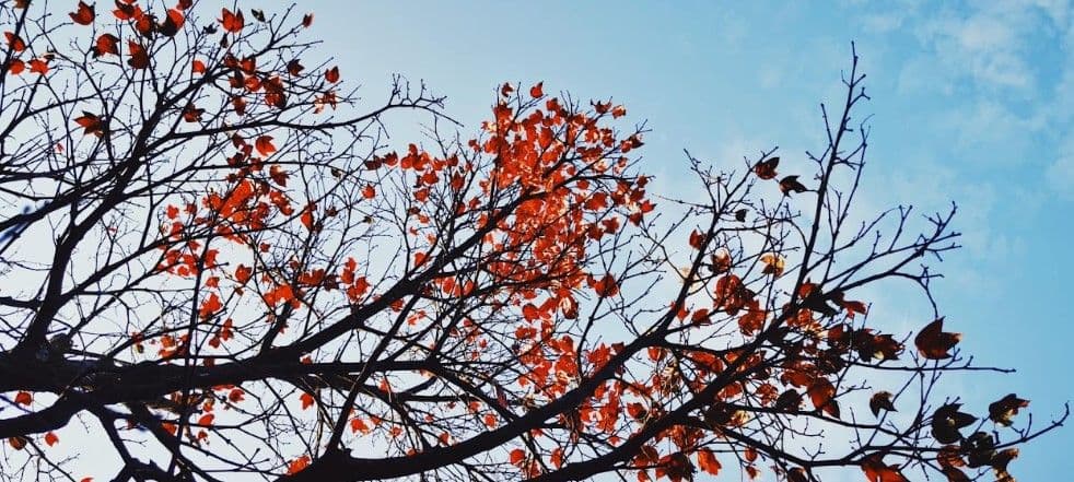 Bach Ma National Park Discovery Group Tour