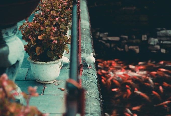 Hue Discovery Full Day Deluxe Small Group Tour